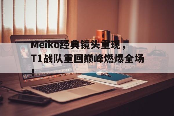 IM电竞app真人娱乐-Meiko经典镜头重现，T1战队重回巅峰燃爆全场！
